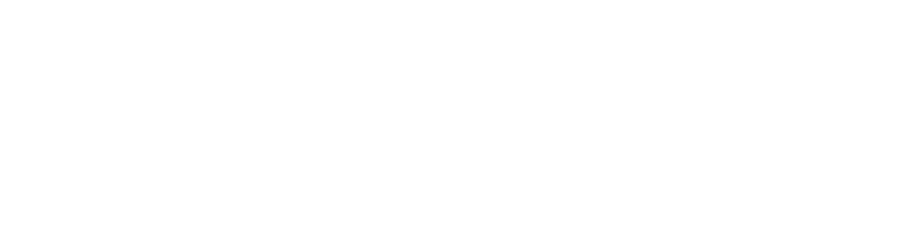 DSS Detail Store